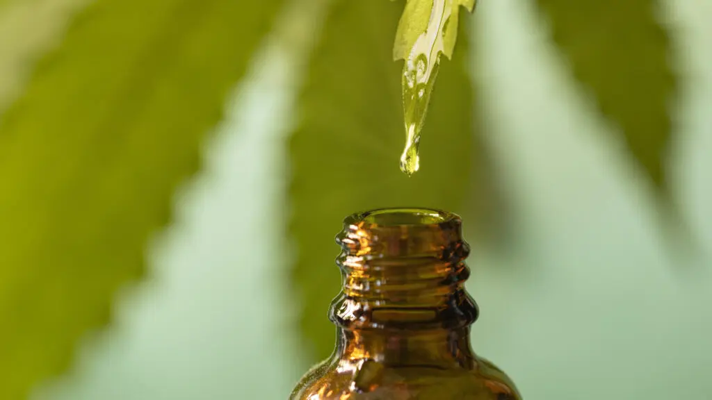 A black and white image of the word cbd.